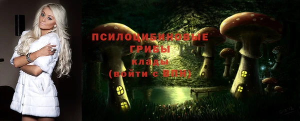 тгк Алексеевка