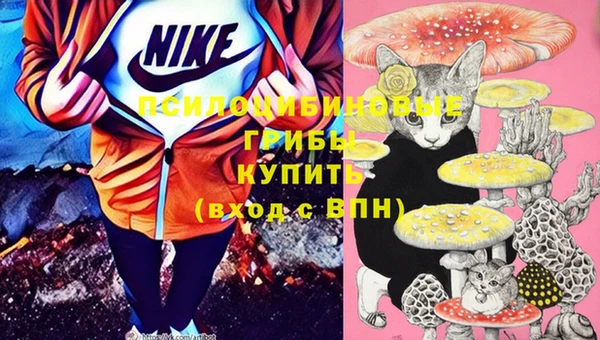 тгк Алексеевка