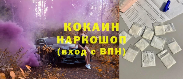 прущий лед Алзамай