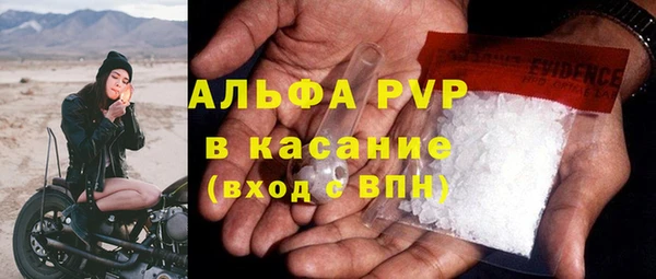 стафф Алексин