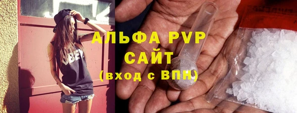 стафф Алексин
