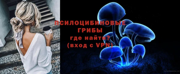 прущий лед Алзамай