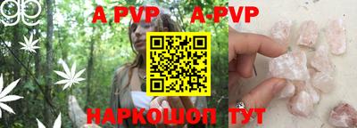 стафф Нальчик