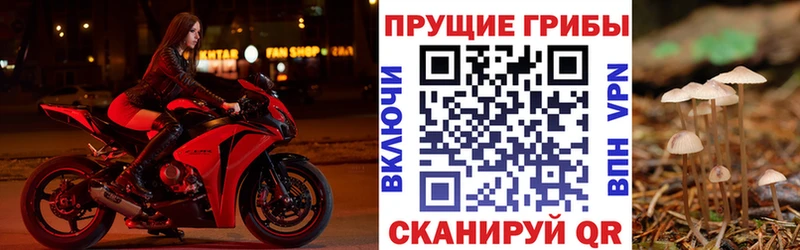 Галлюциногенные грибы Psilocybine cubensis  гидра ссылка  Солнечногорск 