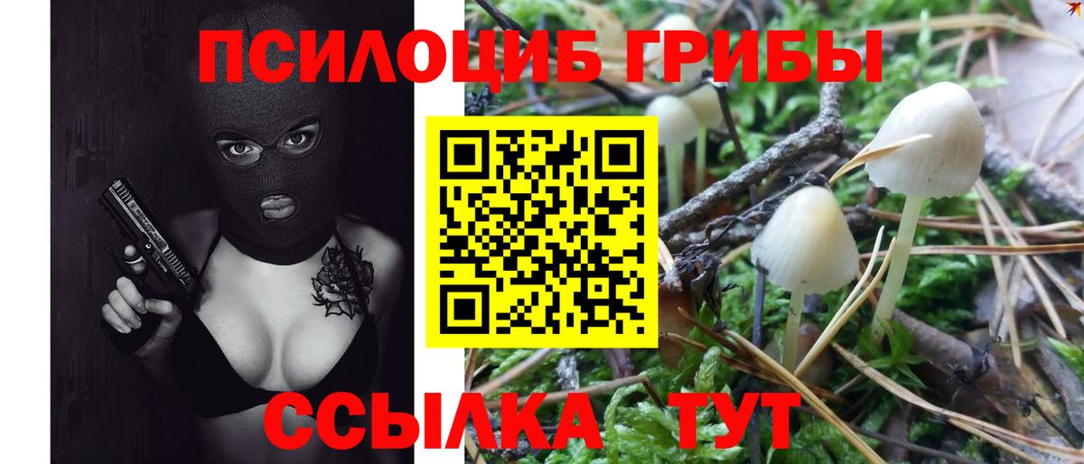 Солнечногорск  Псилоцибиновые грибы Magic Shrooms  Галлюциногенные грибы GOLDEN TEACHER  Вход с VPN 